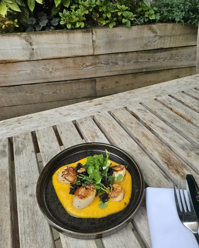 On the specials board this weekend-

Pan Fried Scallops, Pickled Samphire, Black Pudding Crumb & Butternut Squash Puree

 #scallops  #gastropub  #hertfordshirepub